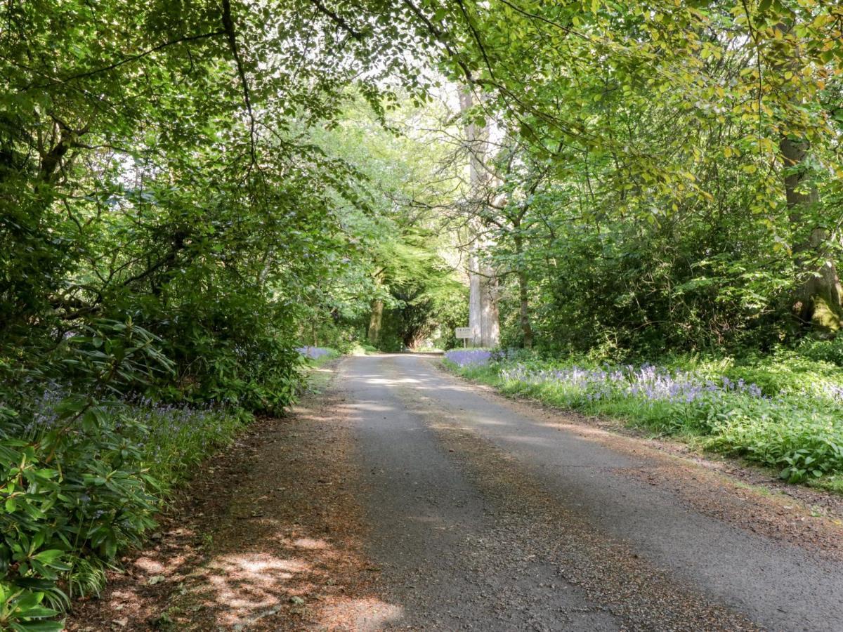 Maisie'S Cottage Dunblane Εξωτερικό φωτογραφία