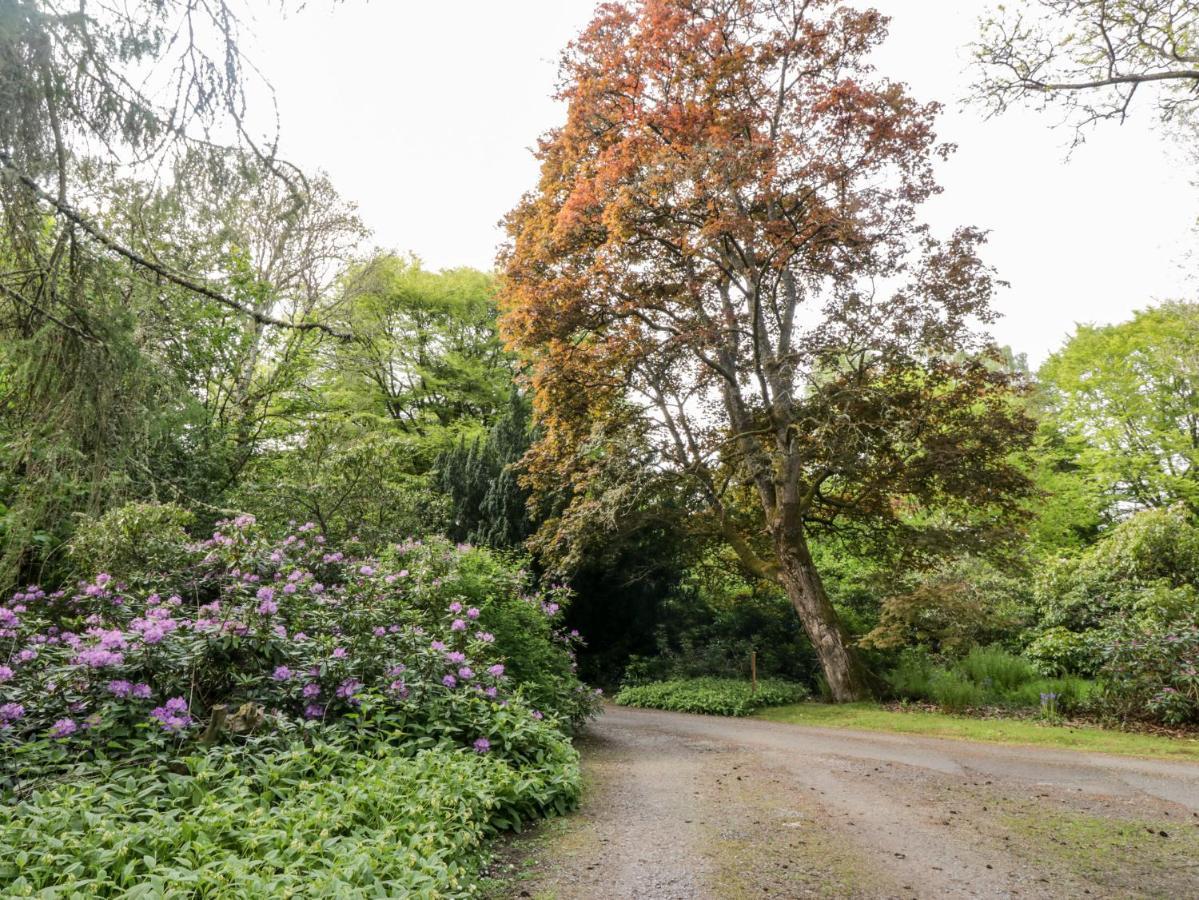 Maisie'S Cottage Dunblane Εξωτερικό φωτογραφία